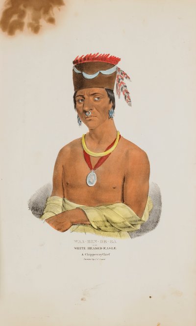 WAA-BIN-DE-BA ou l
