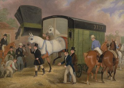 Les animaux de compagnie du Derby : L