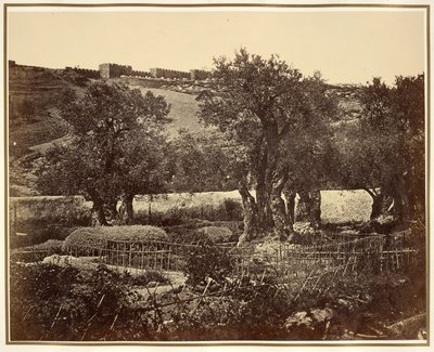 Le jardin de Gethsémani - James Robertson