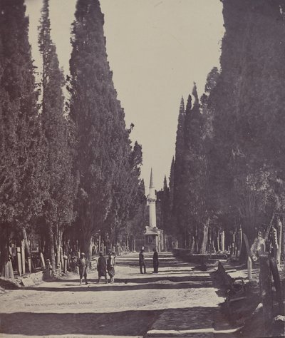 Vue dans le Grand Cimetière de Scutari - James Robertson