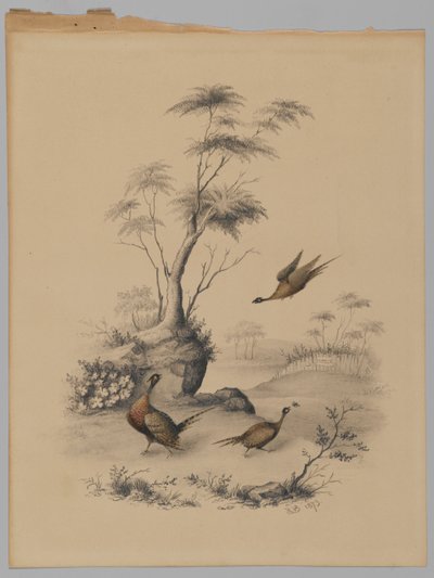Trois faisans, 1873 - James Ryder van Brunt