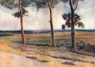 Vue de Staple Hill - James S Ogilvy