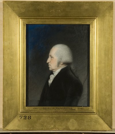George Washington - James Sharples