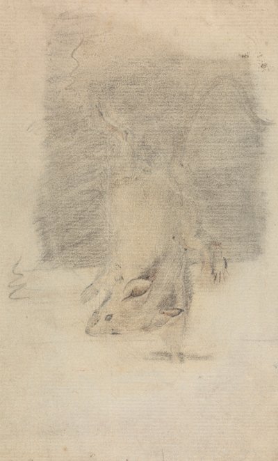 Une souris - James Sowerby