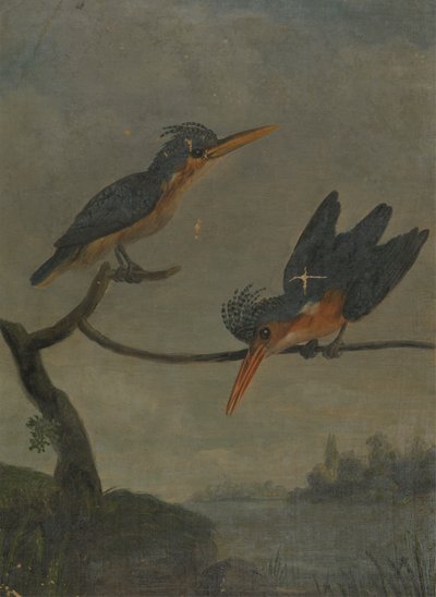 Deux martins-pêcheurs au bord d