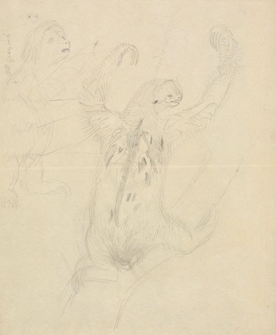 Deux paresseux - James Sowerby