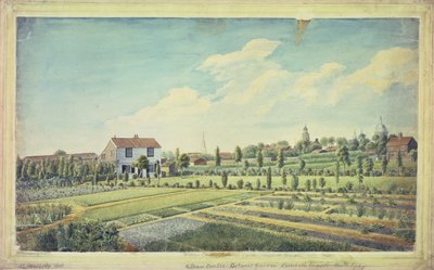 Jardins botaniques de William Curtis, Lambeth Marsh, vers 1787 - James Sowerby