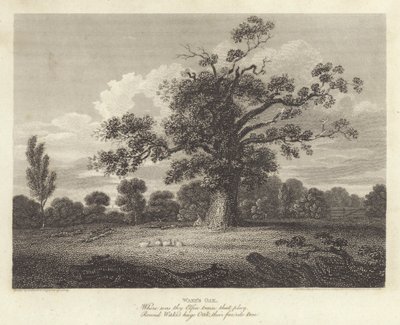 Robert Bloomfield, poète : Le Chêne de Wake - James Storer