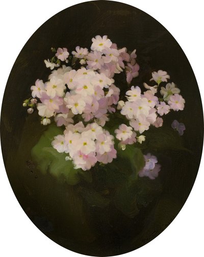 Primevères, 20ème siècle - James Stuart Park