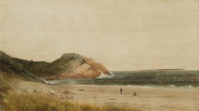 Scène de plage - James Suydam