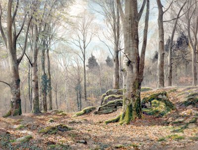 Un Bois Gallois - James Thomas Watts