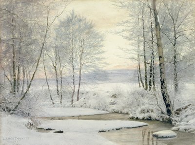 Coucher de soleil en hiver - James Thomas Watts