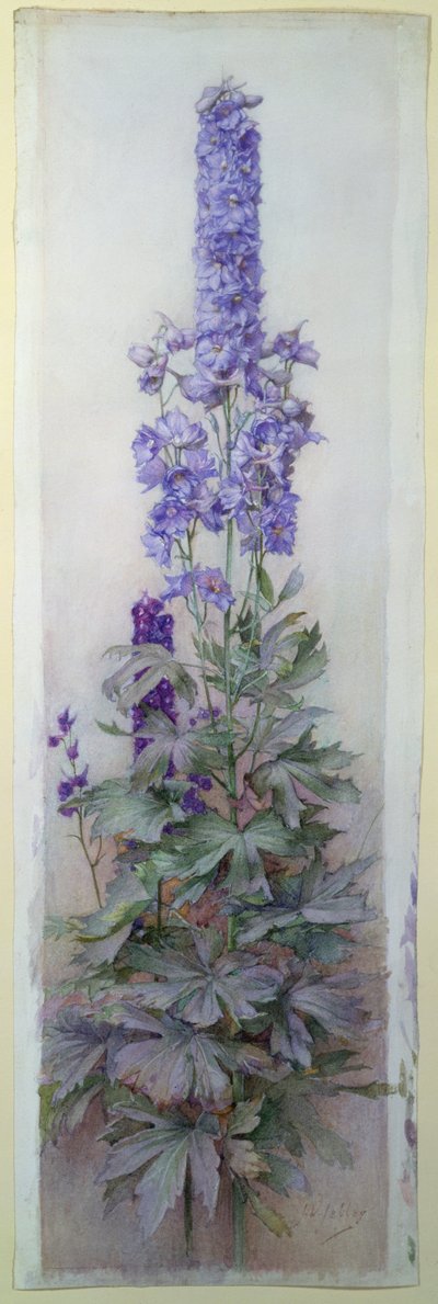 Delphiniums - James Valentine Jelley