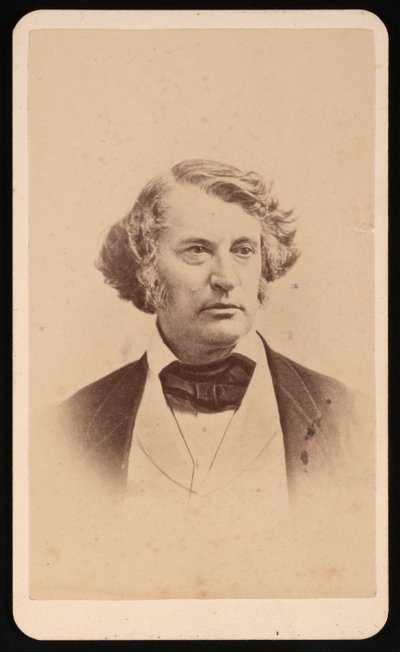 Portrait de Charles Sumner 1811-1874, avant 1874 - James Wallace Black