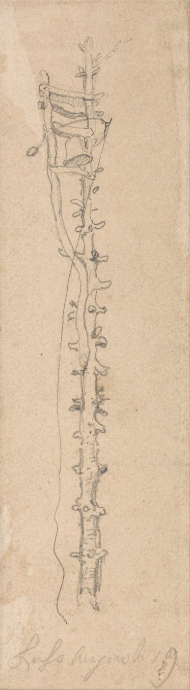 Une cloche sur un poteau dentelé - James Ward