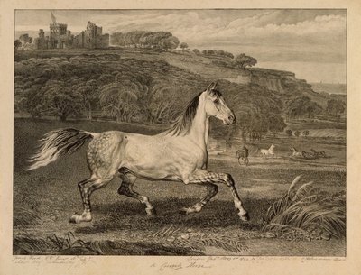 Cheval cosaque, de Chevaux célèbres, une série de quatorze gravures de courses publiée par l