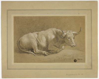 Bœuf gras du Herefordshire - James Ward