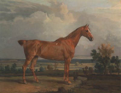 Chasseur dans un paysage - James Ward