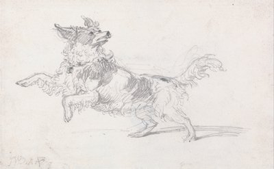 Le chien de Lady Londonderry - James Ward