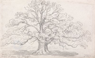 Le grand chêne de M. Howard, 5 août 1820 - James Ward
