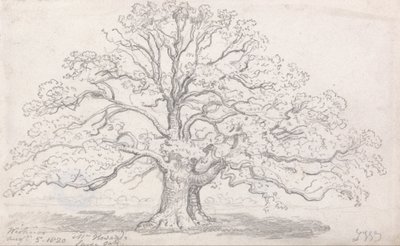 Le grand chêne de M. Howard, 5 août 1820 - James Ward