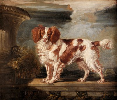 Portrait de Dash, un épagneul favori, propriété de Lady Frances Vane-Tempest - James Ward