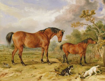 Portrait du réformateur, Blucher, Tory et Crib, propriété de Rowland Alston, Esq. - James Ward