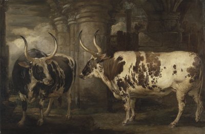 Portraits de deux bœufs extraordinaires, propriété du comte de Powis - James Ward