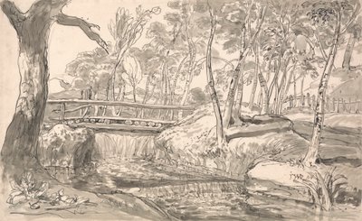 Paysage fluvial avec une cascade - James Ward