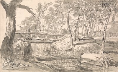 Paysage de rivière avec chute d