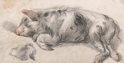 Cochon dormant - James Ward