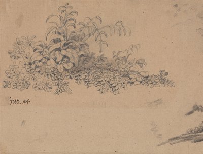 Étude des sous-bois - James Ward