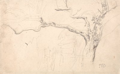 Étude sur les arbres - James Ward