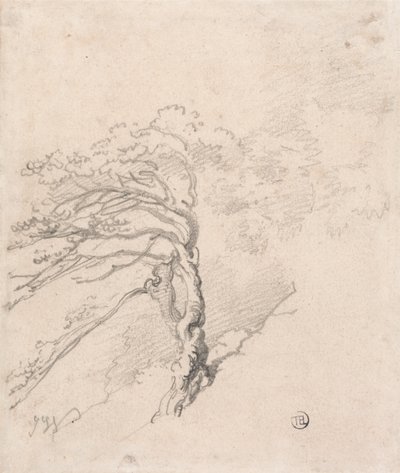 Arbre sur une colline - James Ward