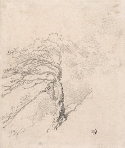 Arbre à flanc de colline - James Ward