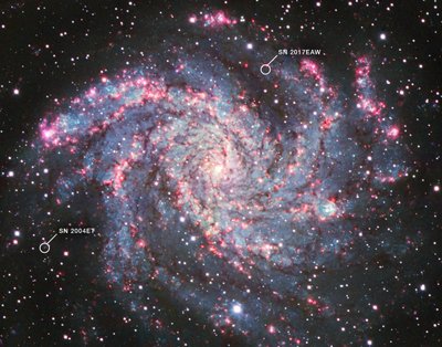 NGC 6946 - James Webb Space Telescope (NASA)