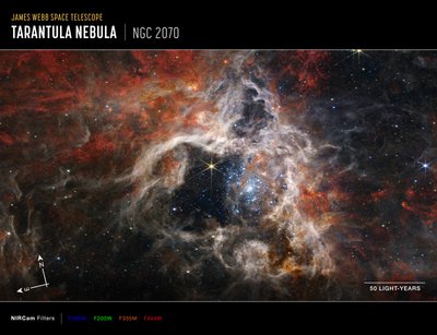 Nébuleuse de la Tarentule - James Webb Space Telescope (NASA)