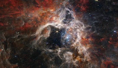 Nébuleuse de la Tarentule - James Webb Space Telescope (NASA)