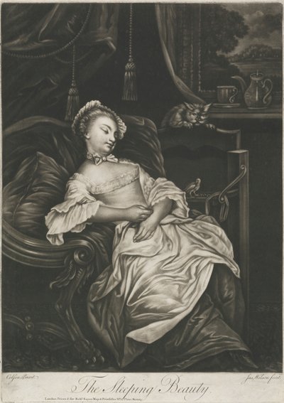 La Belle au bois dormant - James Wilson