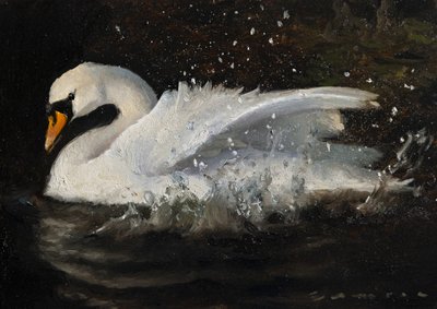 Le cygne dansant - James Zamora
