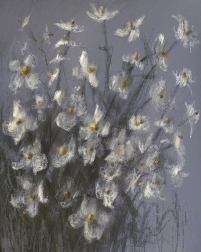 Des fleurs blanches de rêve - James Zamora