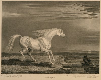 Marengo, de Chevaux célèbres, une série de quatorze gravures de courses publiées par l