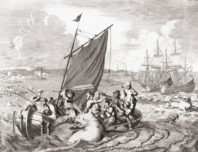 Chasseurs de morses au XVIe siècle - Jan (after) Luyken