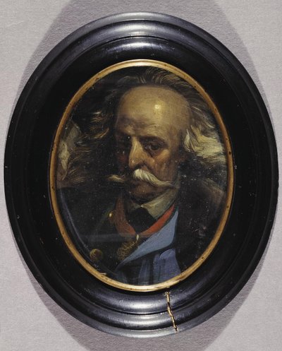 Portrait de Franciszek Salezy Potocki 1700-1772, XIXe siècle - Jan Alojzy Matejko