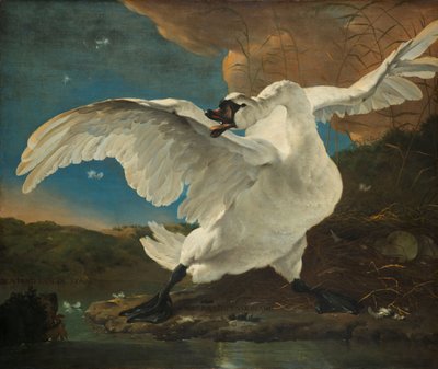 Le Cygne menacé - Jan Asselijn