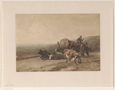 Bœufs au repos - Jan Bedijs Tom