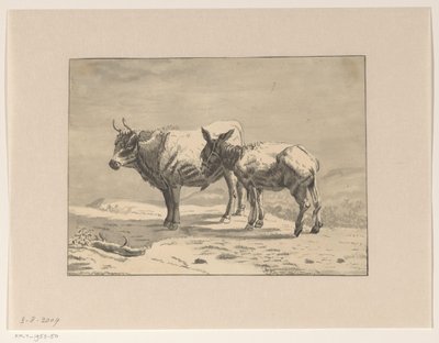 Taureau et un âne - Jan Bedijs Tom