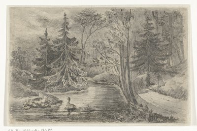 Chemin forestier près d