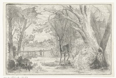 Paysage de parc avec cerf - Jan Bos Wz.