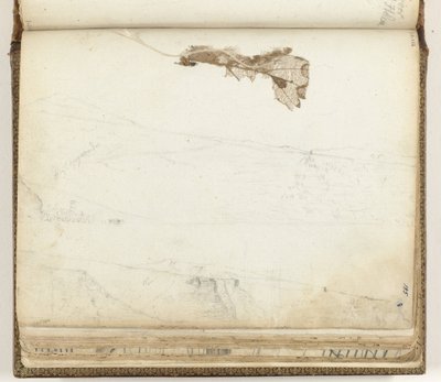 Baie de Sainte-Hélène, feuille séchée - Jan Brandes